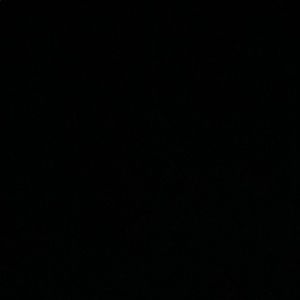 Meet your Posher, Ella